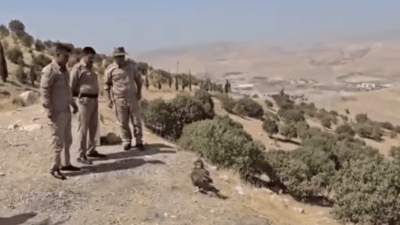 هەڵۆیەک بە سروشت شاد کرایەوە