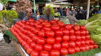 رۆژانە 800 تۆن تەماتە لە سلێمانییەوە رەوانەی پارێزگاکانی عێراق دەکرێت