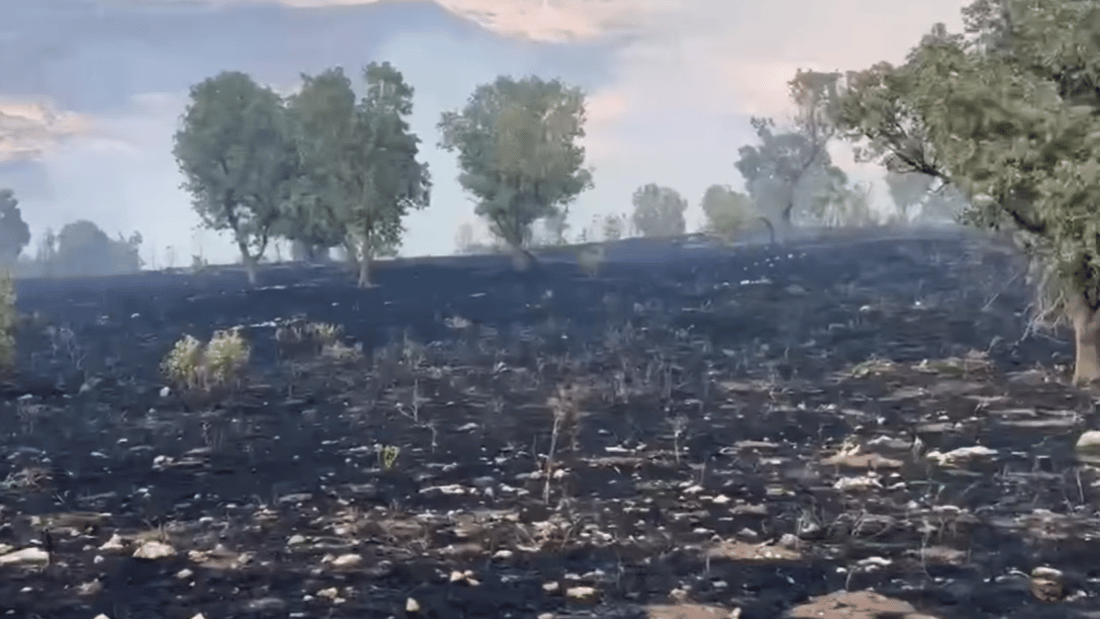 زیاتر لە 250 دۆنم لە پوش و پاوانى سووتاندووه