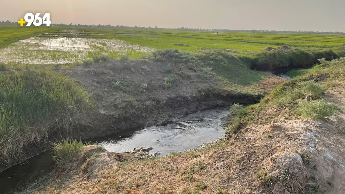 964mediaصورة من منصة (شبكة): 