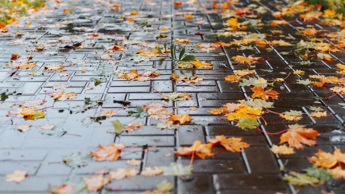 به‌پێی حیساباتی فه‌له‌كی دووشه‌ممه‌ى داهاتوو‌ یه‌كه‌م رۆژی پاییزه‌