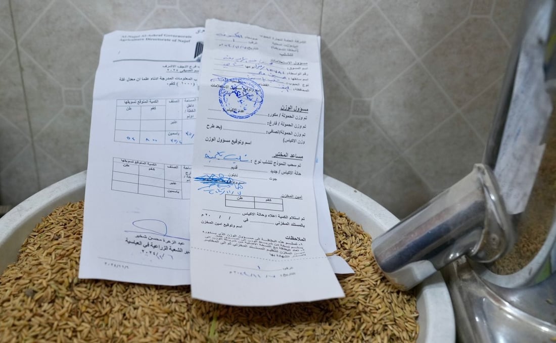 بعد انقطاع زراعته لمدة عامين.. التجارة تستلم أول كمية من الشلب المسوق (صور)