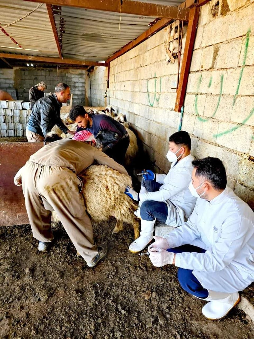 خورماتوور هه‌ڵمه‌تێكی ده‌ستپێكردووه‌ بۆ سەلامەتی ئاژه‌ڵ و باڵنده‌ و مرۆڤه‌كان
