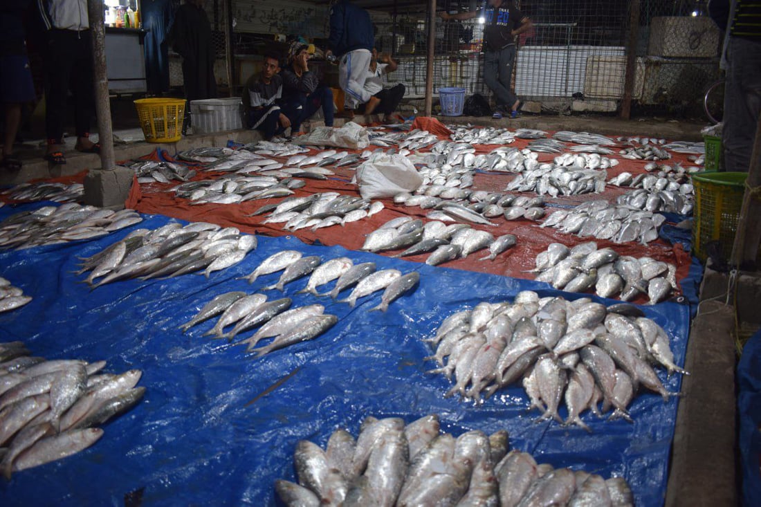 صور: رحلة صيد استمرت 5 أيام في عرض البحر تملأ مزاد النقعة بالأسماك