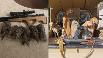 شەش هاوڵاتی بە تۆمەتی راوکردن دەستگیر کران