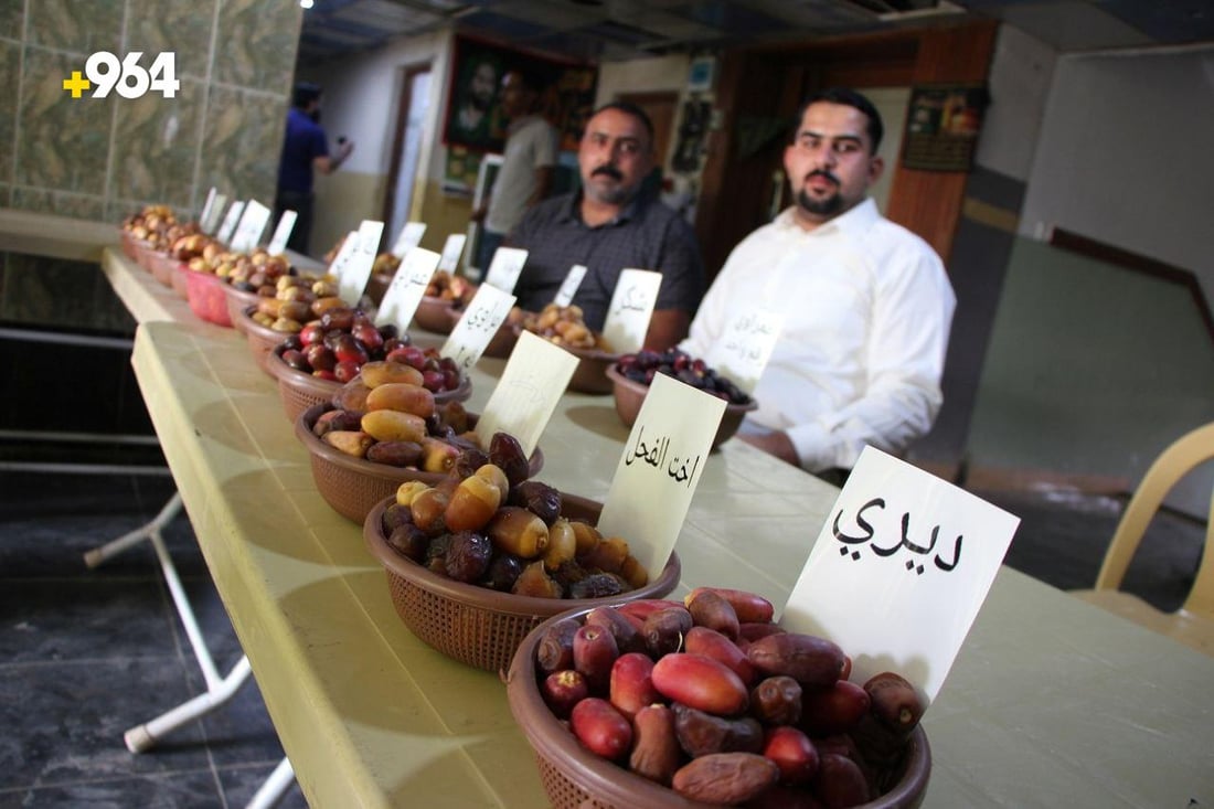 صور: مهرجان التمور في السماوة.. كل الأصناف تغار من “البلكة” وأم الدبس