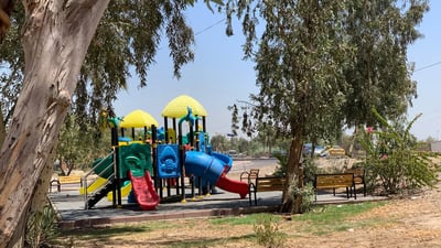 صور: أشجار وألعاب جديدة لأطفال حي الجامعة.. ومناطق أخرى في المراحل المقبلة