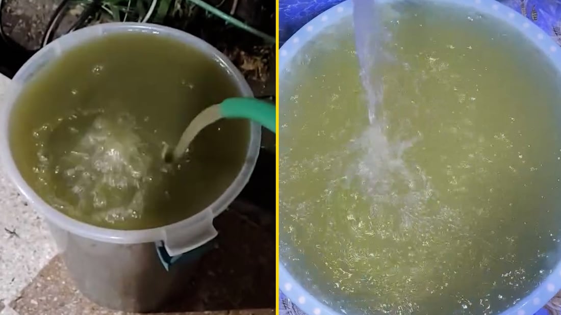 Najaf residents alarmed after green water flows from taps