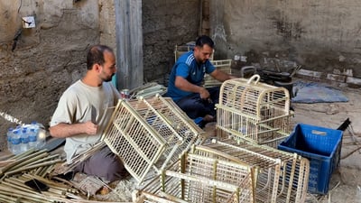 Bulbul cage makers keep a palm-frond craft alive in Diyala