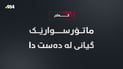 لە کەلار دوو ماتۆرسکیل بەیەکیاندادا و مێردمنداڵێک گیانی لەدەستدا
