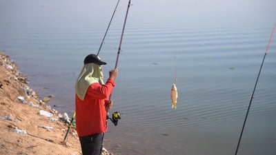 Lake Hamrin thrives as fishing hub and tourist spot after security and environmental revival