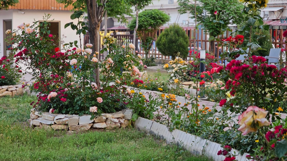 سەنتەرێک بە خزمەتگوزاریی بێبەرامبەرەوە باوەشی بۆ خانەنشینانی کۆیە کردووەتەوە