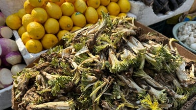 فيديو: “كعوب” السليمانية في أسواق الموصل والكيلو بـ 6 آلاف