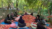 سەرمای هەورامان دروستکردنی رووبەهەناری پێشخست