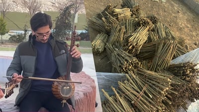 ئه‌مڕۆ كاكه‌ییه‌كانى هه‌ڵه‌بجه‌ و سلێمانى و كه‌ركوك له‌ شنگال مۆسیقا ده‌ژه‌نن