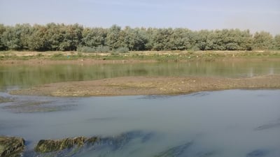 هذه الصور تخيف أهالي آلتون كوبري.. يمكن عبور نهر الزاب مشياً!