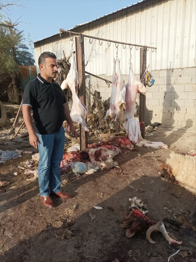 صور: اعتقال 3 جزارين ومصادرة ذبائح غير صالحة في سوق الشيوخ