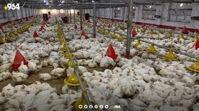 “هەموو كێشەكانمان خەتای حكومەتی هەرێمی كوردستانە”