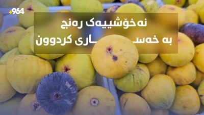 نەخۆشییەک لە هەنجیری تەقتەقی داوە و جەوی جوتیارانی گرتووە