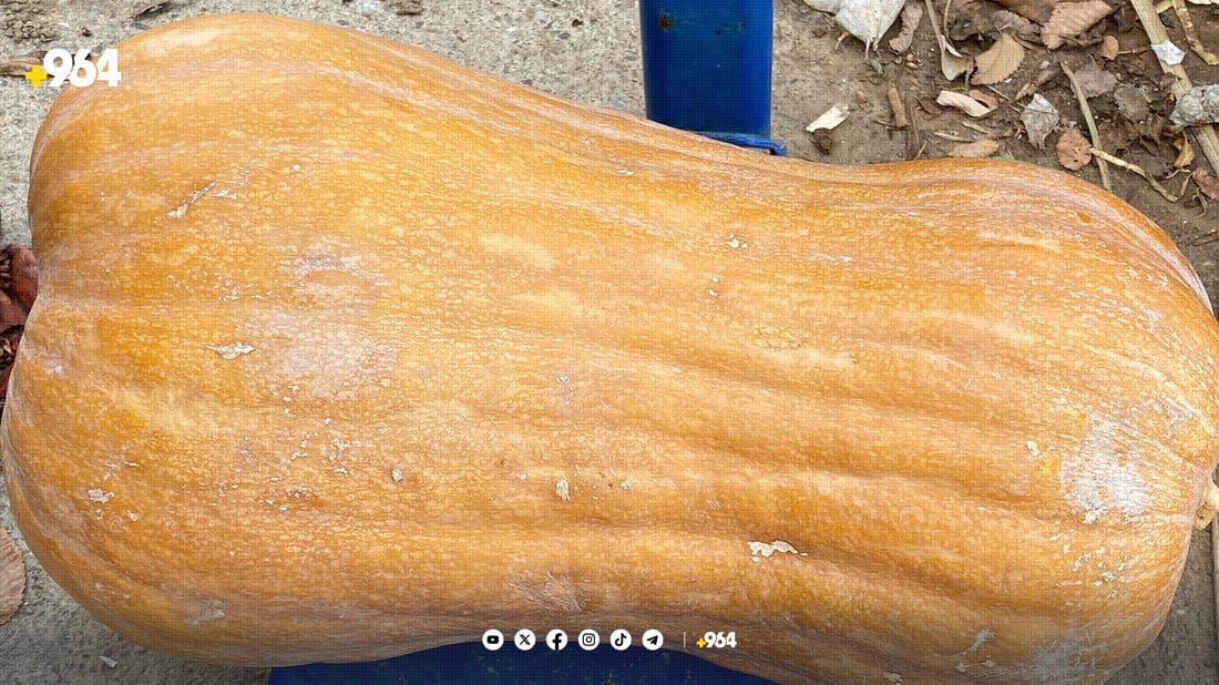 لە سۆران کولەکەی کوڵاو خواستی خەڵکی لەسەرە