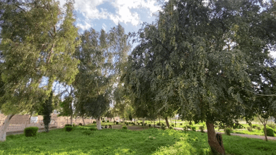 Kurdistan Region forecast below 40°C on Wednesday