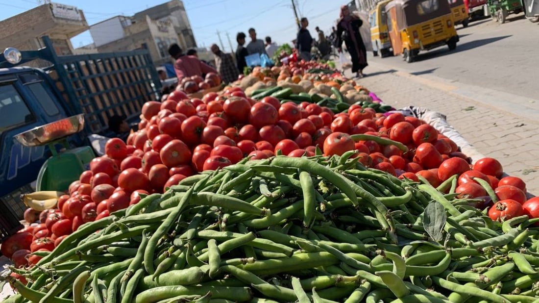 صور: موسم الباقلاء يبدأ في أبو غريب.. طازجة بـ 1500 دينار