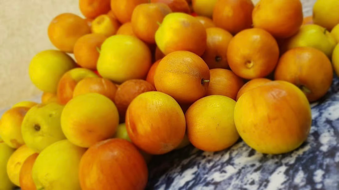Basra’s nabq fruit draws traders as production booms and exports increase