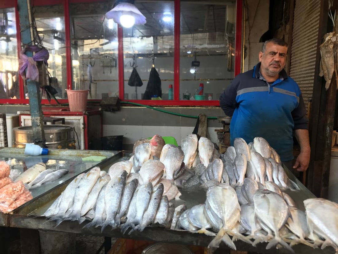 بحري النقعة ونهري البصرة القديمة.. الأسماك أغلى اليوم في سوق الزبير (صور)