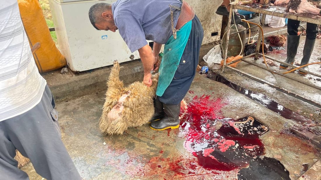 هذا ما يحدث قرب صورة الصدرين في “قطاع 18”.. وهناك من “يحميهم”! (صور)