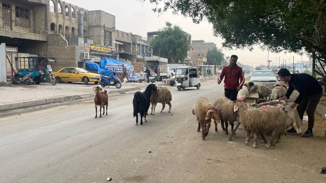 هذا ما يحدث قرب صورة الصدرين في “قطاع 18”.. وهناك من “يحميهم”! (صور)