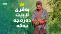 بە هەرەوەز سماقی شاخەکانی ئاکرێ لێدەکەنەوە