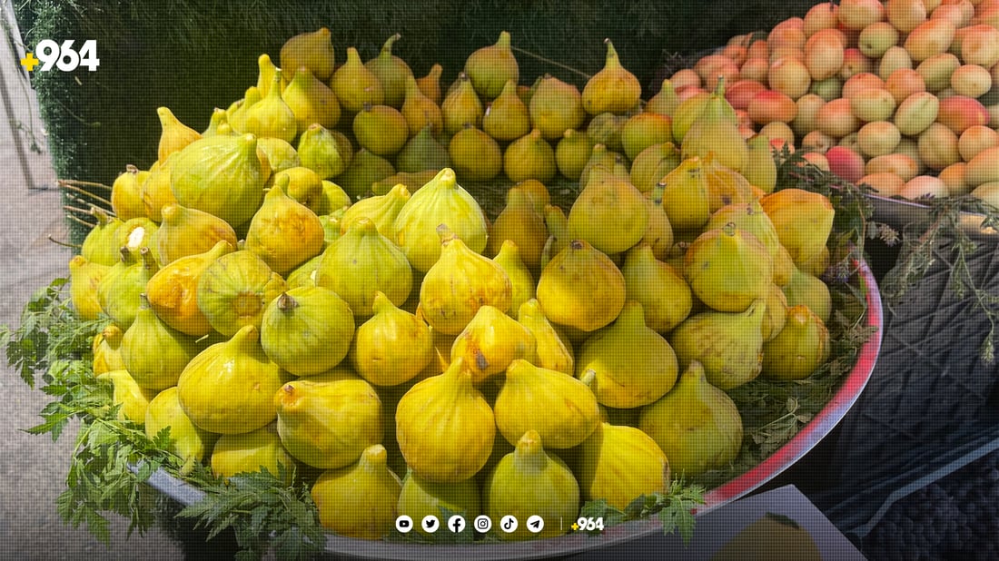 هەنجیری تەقتەق لە سلێمانی کیلۆی بە 10 هەزار دینارە