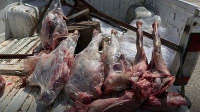 مانگی سێ لیژنەکەی ناحیەی عەربەت سەردانی 360 شوێنی کردووە