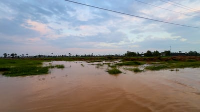 سدود بدرة الغاطسة تنجح بأول اختبار.. موجة فيضانية تعبر واسط بأمان