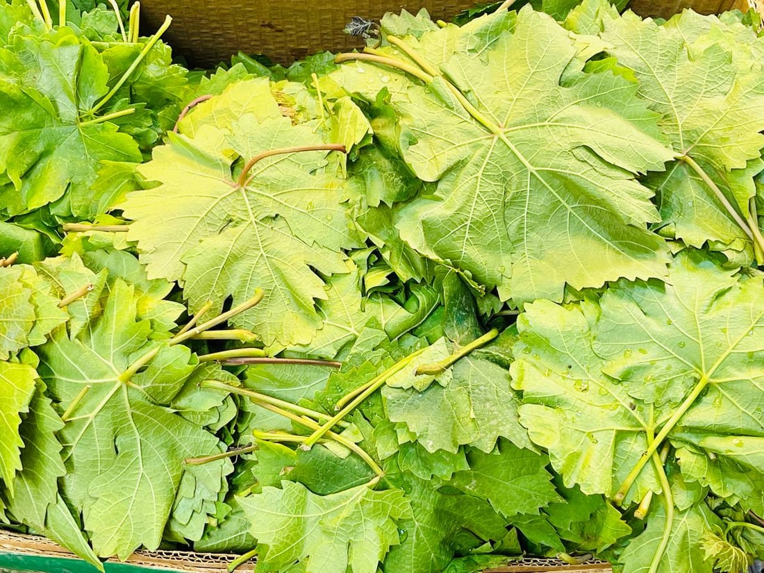 الكمأ والبامية وورق العنب.. أسعار “الثلاثة الذهبية” انخفضت قليلاً في أربيل!