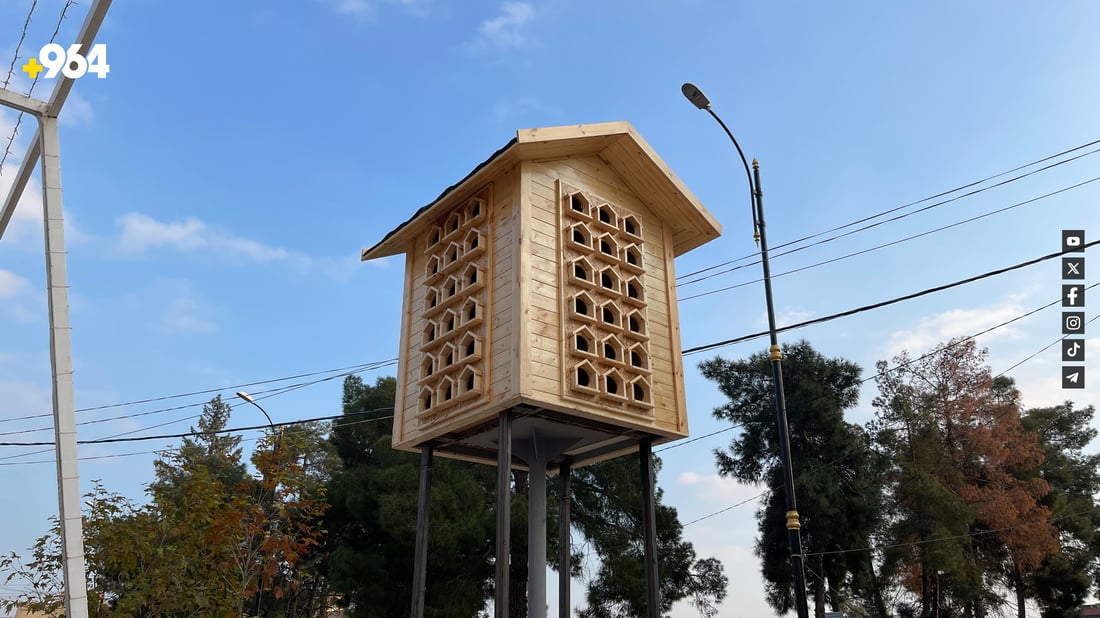 لە رانیە ماڵە دارینە بۆ باڵندەکان دروستکرا