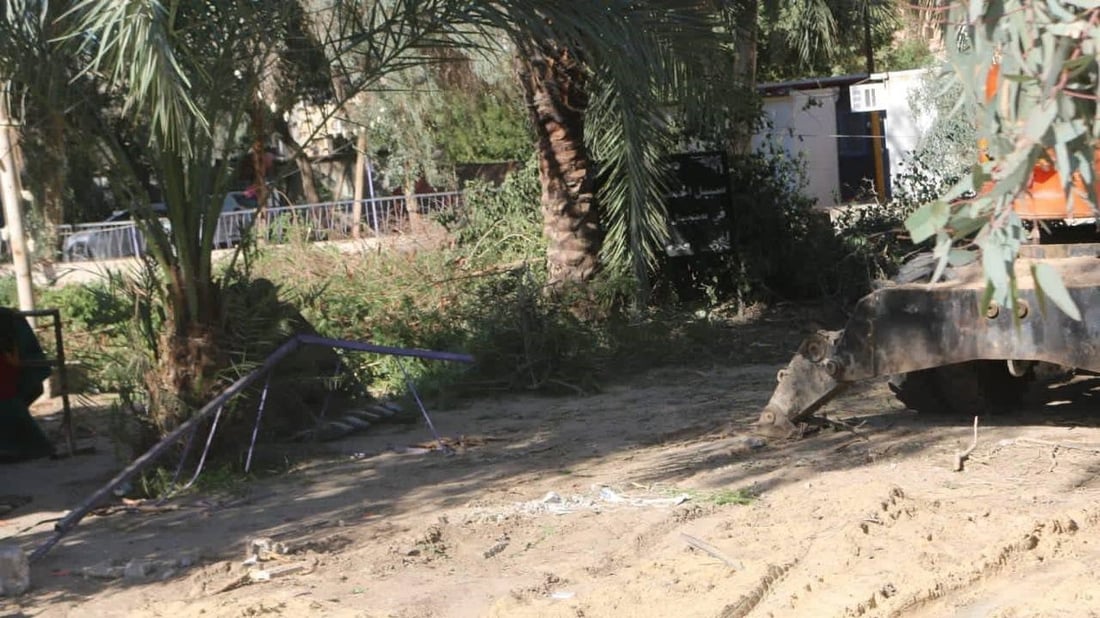 حزن في أقدم أحياء كربلاء على أشجار “البارودي”.. قطعوا ذاكرة طفولتنا