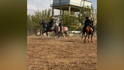 فيديو: مهرجان الرمان “جدي للغاية” في حلبجة.. خيول أصيلة رقصت كثيراً