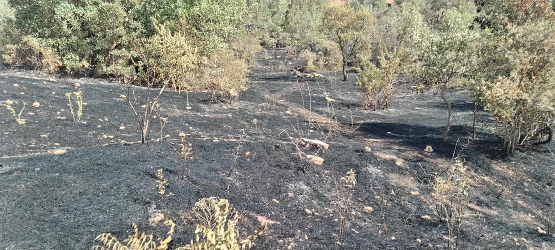 دوو رۆژه‌ ئاگر به‌رۆكى پیرمام به‌رنادات