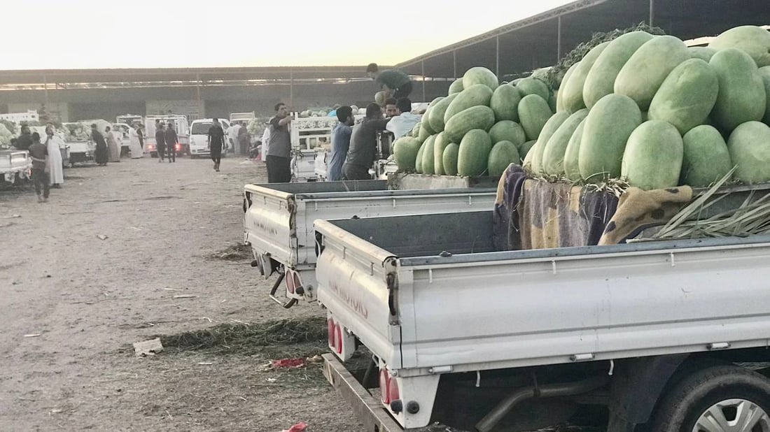 زراعة أبو غريب ليست بخير.. أمطار أيار هي السبب وحر حزيران (صور وأسعار)