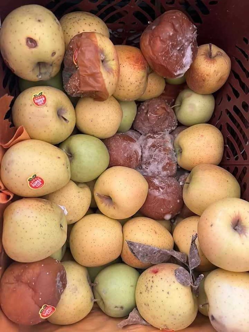 نزیکەی نۆ تۆن سێوی گەنیو لە مەرزی کێلێ دەستی بەسەرداگیرا