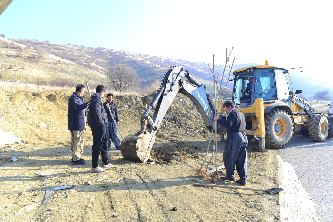 له‌ پێنجوێن 24 هه‌زار دار توو چێندراوه‌