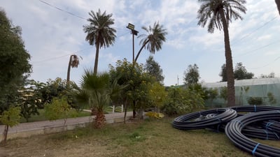 Volunteer-driven tree-planting campaign transforms Al-Majar Al-Kabir in Maysan