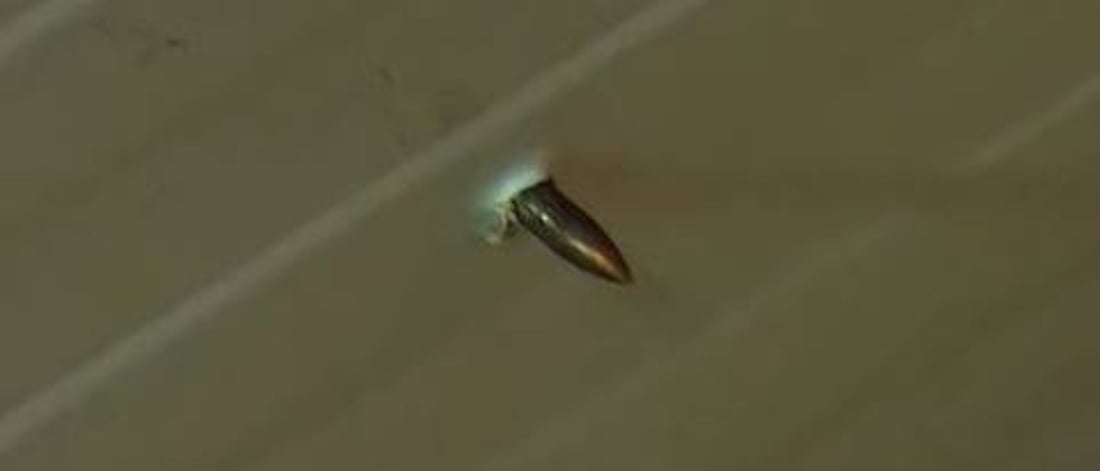 الدورة: سقوف منازل الإسكان لا تقي الرصاص.. موظفون ومتقاعدون يطالبون بالتمليك