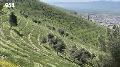 ئاگرکردنەوە لە چوار دارستانی سلێمانی قەدەغە کرا