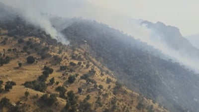 دوو هەزار دۆنم پوش و پاوان و دارستانی سروشتی سووتا