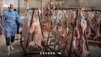 له‌ كوشتارگه‌ى هاوچه‌رخی هه‌ولێر رێژه‌ى سه‌ربڕینى ...