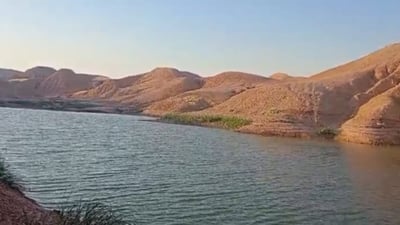 Villager’s pond in Tuz Khurmatu becomes lifeline for local wildlife