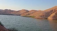 Villager’s pond in Tuz Khurmatu becomes lifeline for local wildlife
