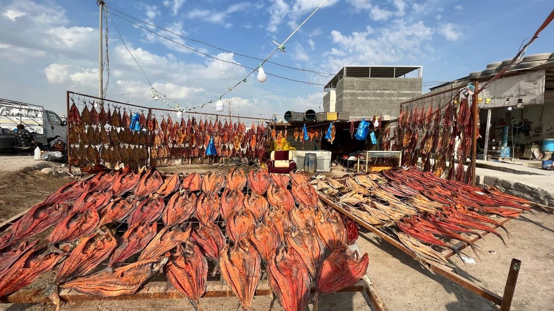 صور غير مألوفة من البصرة: لون المسموطة صار أحمر.. والبغادلة يصورون فقط!